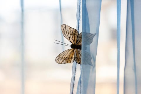 Studio Turquoise à 100m de la plage Apartment in Bénodet