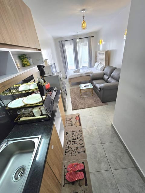 Bed, Kitchen or kitchenette, Living room, Seating area, Bedroom