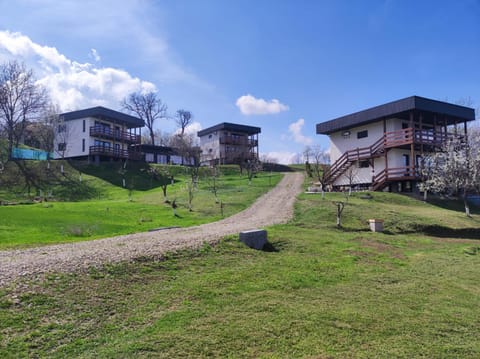 Property building, Spring, Garden