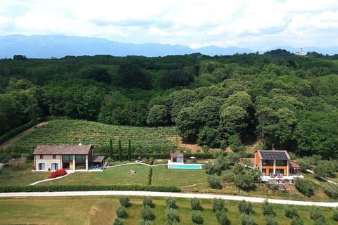 Spring, Summer, Garden, Autumn