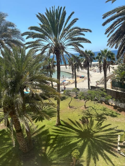 Day, Garden, Garden, Beach, Garden view, Sea view