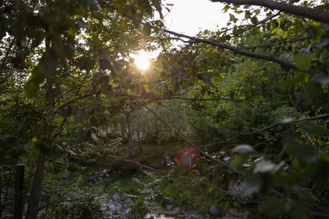 Jankovic Chalet Chalet in Montenegro