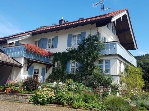 Property building, Day, Garden