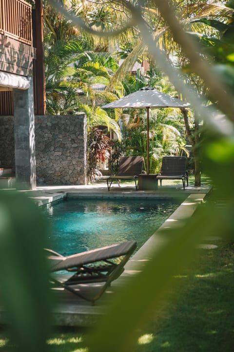 Garden, Swimming pool