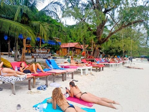 Restaurant/places to eat, People, Natural landscape, Beach, group of guests, sunbed