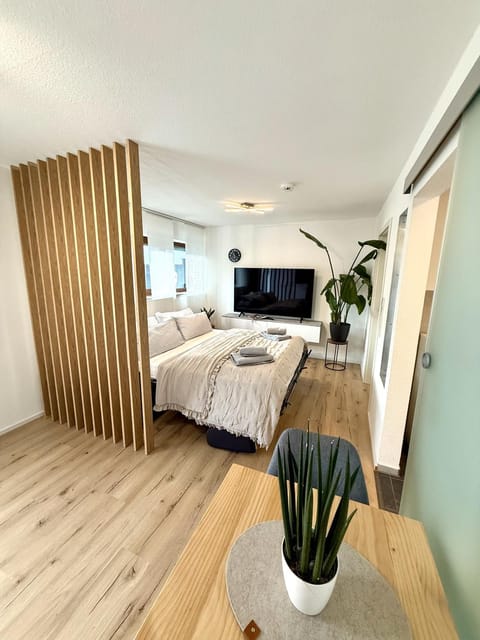 Communal lounge/ TV room, Bed, TV and multimedia, Photo of the whole room, Evening entertainment, Bedroom, towels