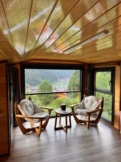 Patio, Living room