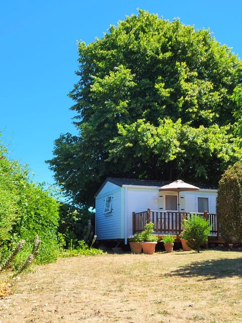 Patio, Natural landscape, Garden view
