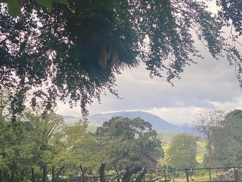 Hot-tub Hideaway Apartment in Hawkshead