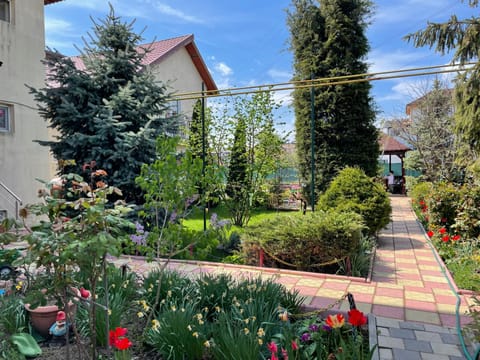 Spring, Day, Garden, Garden view