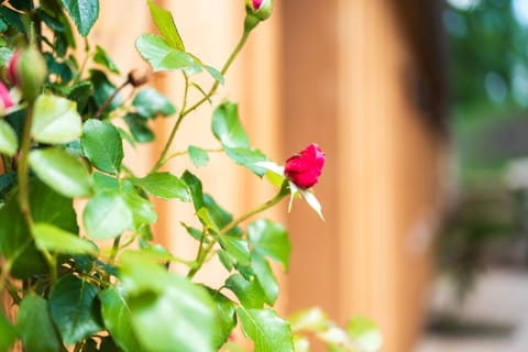 Le Domaine de Richebourg - Pierres d'Histoire House in Île-de-France