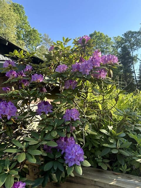 Hike & Ski Hideaway @ Lake Placid, NY House in Lake Placid