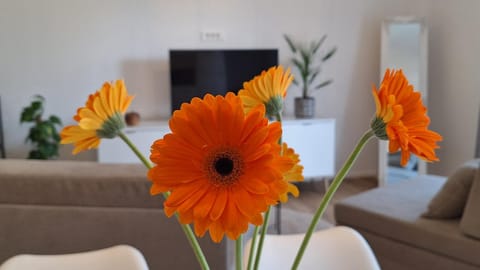 Communal lounge/ TV room, Living room, Seating area