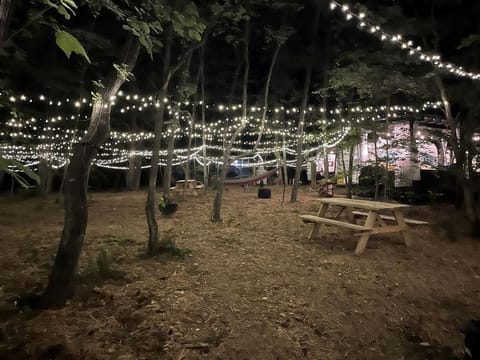 Charming Vintage Caravan Rental in Franklin, North Carolina for Mountain Glamping Escape House in Franklin