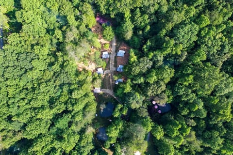 Charming Vintage Caravan Rental in Franklin, North Carolina for Mountain Glamping Escape House in Franklin