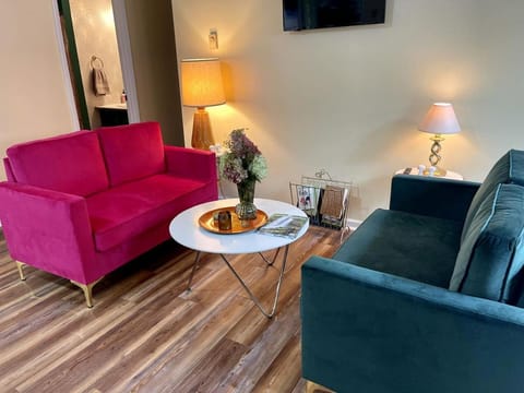 Unique Vacations at this Wonderful Vintage Caravan in Franklin, North Carolina House in Franklin