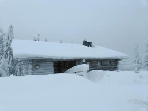 Kuusanka Chalet in Lapland
