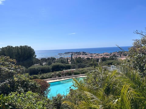 Pool view, Swimming pool