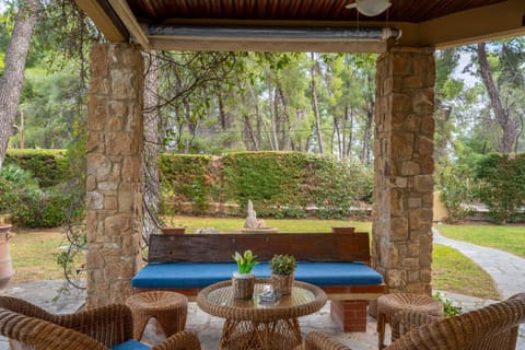 Patio, Garden, Seating area, Garden view
