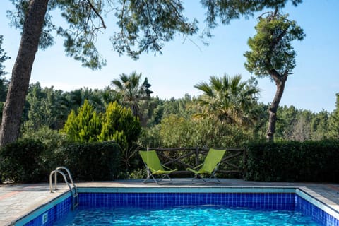 Day, Garden, Pool view, Swimming pool