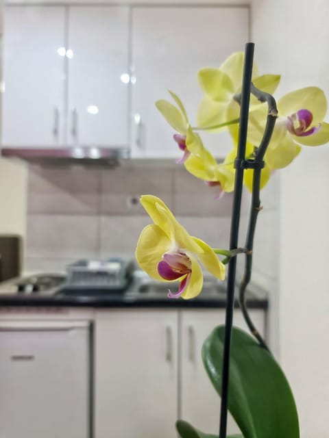 Kitchen or kitchenette, Decorative detail