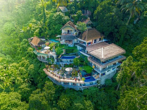 Property building, Natural landscape, Bird's eye view, Garden, Garden view, Pool view, Swimming pool