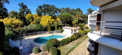 Pool view