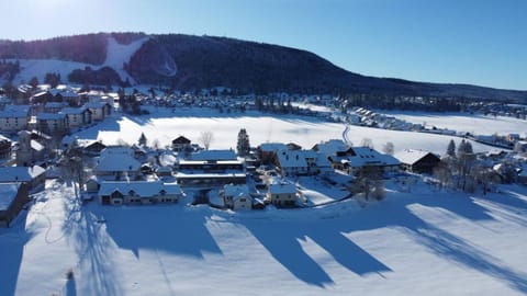 Chalet type pagotin rénové au coeur Apartment in Métabief