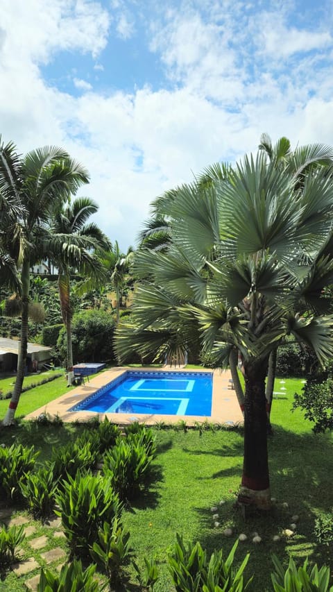 Garden, Garden view, Pool view, Swimming pool, Swimming pool
