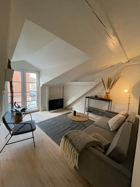 Cozy Scandinavian Apartment in the Heart of Viborg Apartment in Central Denmark Region