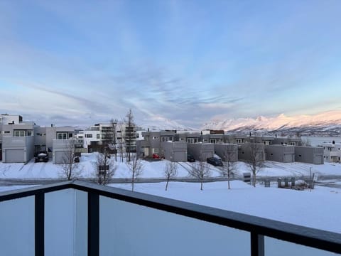 Cozy and Central 3 Bedroom Apartment Apartment in Tromso