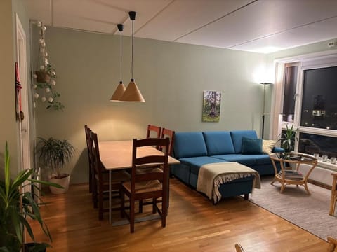 Cozy and Central 3 Bedroom Apartment Apartment in Tromso