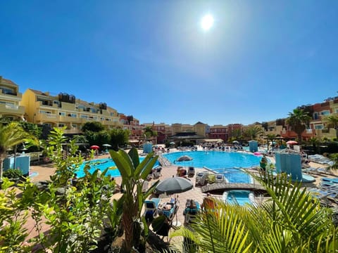 Day, Natural landscape, Pool view, Swimming pool, sunbed