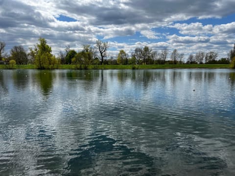 Nearby landmark, Spring, Day, Natural landscape, Lake view