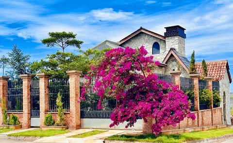 Property building, Garden