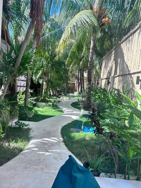 Natural landscape, Garden, Garden view