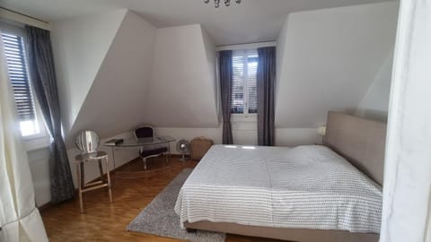 Blue-Lake View Apartment in Geneva