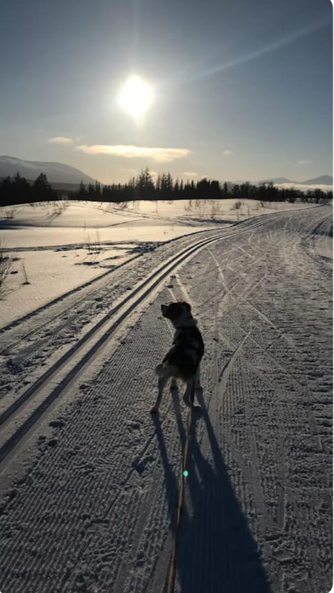 Casa Kvaløya Vacation rental in Tromso