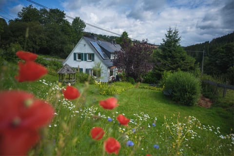 Property building, Garden view