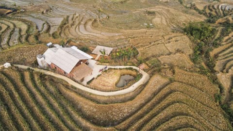 Day, Bird's eye view