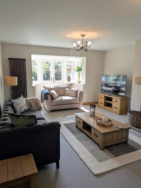 TV and multimedia, Living room