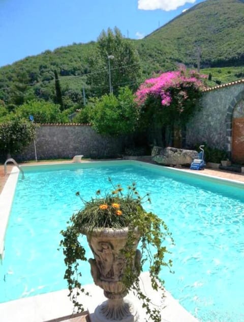 Natural landscape, Garden, Pool view, Swimming pool