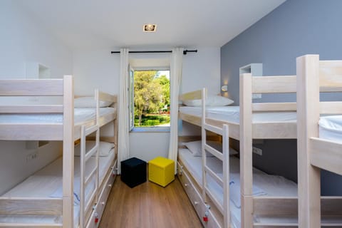 Bed, Photo of the whole room, Bedroom, bunk bed