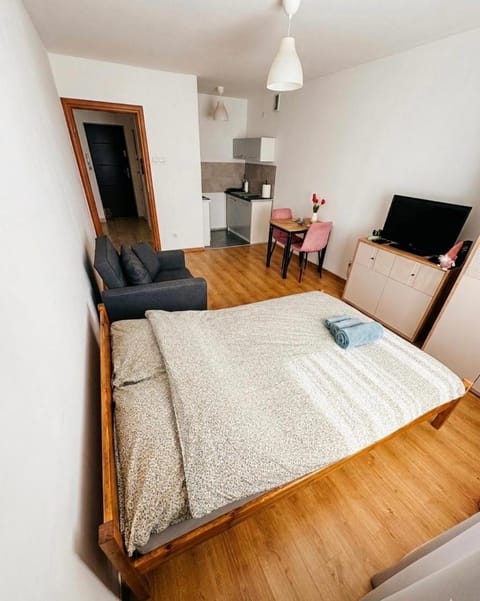TV and multimedia, Kitchen or kitchenette, Living room, Photo of the whole room, Seating area, Dining area