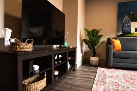 Modern State Units 1&2 - Offering TWO Garden Level Condos in Downtown Traverse City House in Traverse City