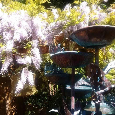 Patio, Spring, Summer, View (from property/room)