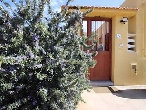 Property building, Garden view
