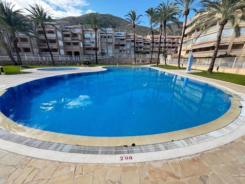 Swimming pool, Swimming pool, sunbed