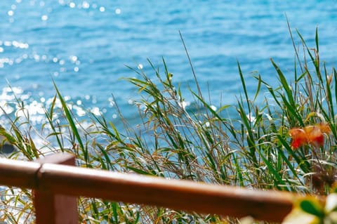 Aegean Heaven House in Samos, Greece