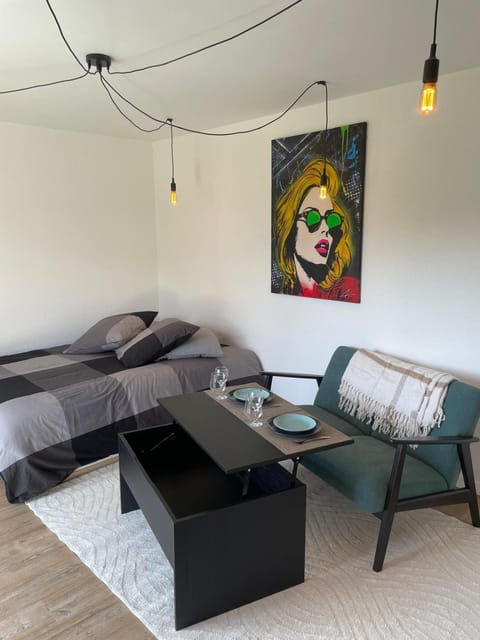 Unique Urban Art Studio Apartment in Lisieux